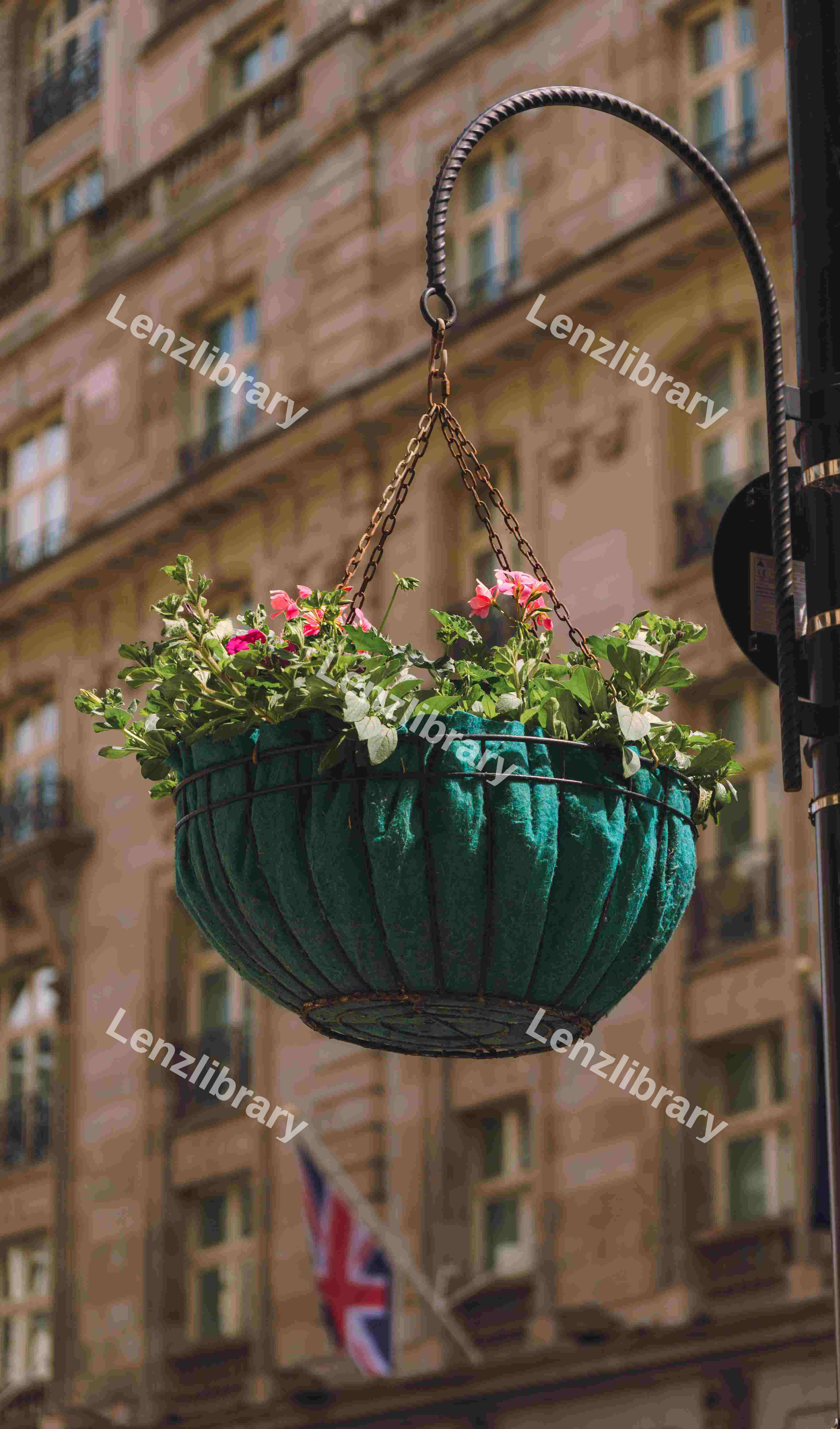 Hanging Flower Pot